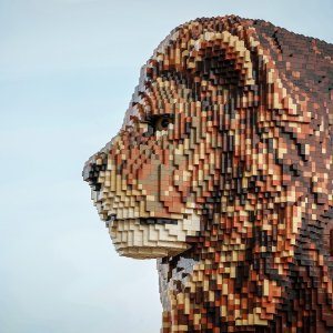 LEGO životinje u Safari parku Knowsley