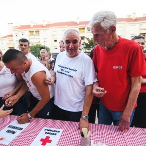 Benkovac: Puž KUD-a Branimir Benkovac najbrži je puž u Hrvatskoj