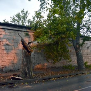 U Puli i okolici nevrijeme lomilo stabla