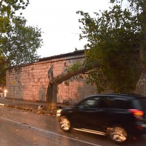 U Puli i okolici nevrijeme lomilo stabla