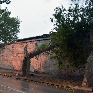 U Puli i okolici nevrijeme lomilo stabla