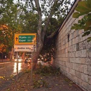 U Puli i okolici nevrijeme lomilo stabla