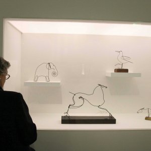 Izložba u Parizu 2009.