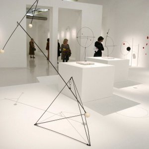 Izložba u Parizu 2009.