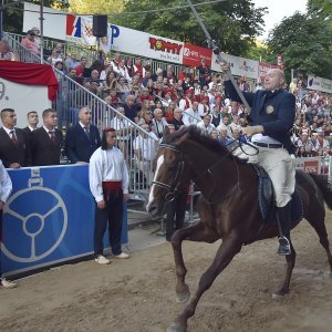 Alkar Ivo Zorica pobjednik 304. Čoje