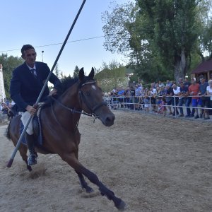 Alkar Ivo Zorica pobjednik 304. Čoje