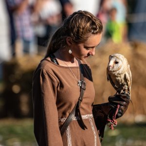 Svetvinčenat: Viteške borbe na Srednjovjekovnom festivalu oduševile posjetitelje (1)