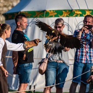 Svetvinčenat: Viteške borbe na Srednjovjekovnom festivalu oduševile posjetitelje (1)