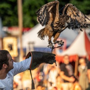 Svetvinčenat: Viteške borbe na Srednjovjekovnom festivalu oduševile posjetitelje (1)