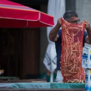 Jutro na tržnici Dolac