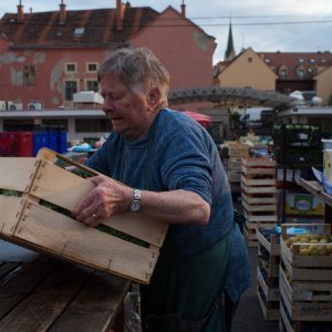 Jutro na tržnici Dolac