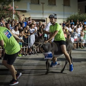 Održana 14. Međunarodna utrka tovara