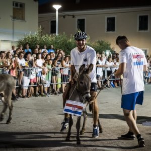 Održana 14. Međunarodna utrka tovara