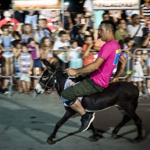 Održana 14. Međunarodna utrka tovara