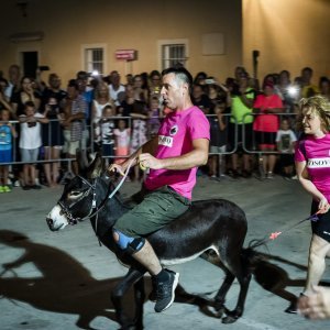 Održana 14. Međunarodna utrka tovara