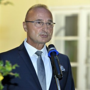 Goran Grlić Radman