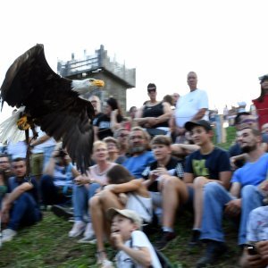 Koprivnica: Sokolari iz Slovačke najveća atrakcija zadnjeg dana Renesansnog festivala