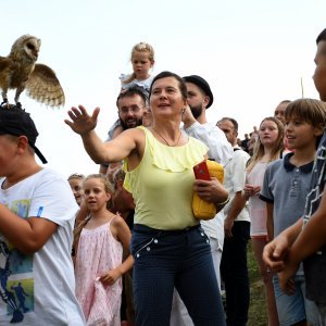 Koprivnica: Sokolari iz Slovačke najveća atrakcija zadnjeg dana Renesansnog festivala