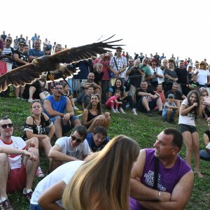 Koprivnica: Sokolari iz Slovačke najveća atrakcija zadnjeg dana Renesansnog festivala