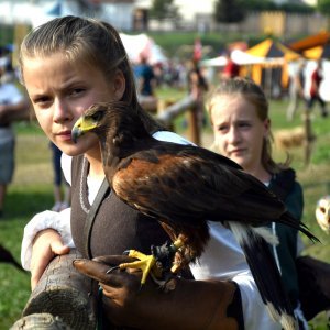 Koprivnica: Sokolari iz Slovačke najveća atrakcija zadnjeg dana Renesansnog festivala