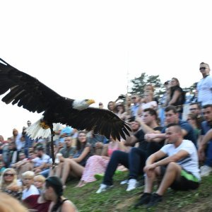 Koprivnica: Sokolari iz Slovačke najveća atrakcija zadnjeg dana Renesansnog festivala