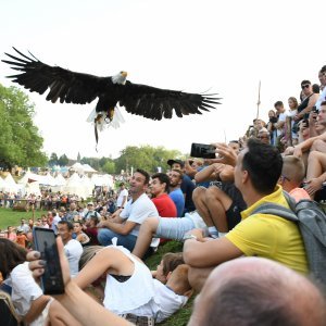 Koprivnica: Sokolari iz Slovačke najveća atrakcija zadnjeg dana Renesansnog festivala