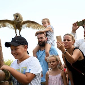 Koprivnica: Sokolari iz Slovačke najveća atrakcija zadnjeg dana Renesansnog festivala