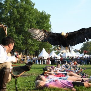 Koprivnica: Sokolari iz Slovačke najveća atrakcija zadnjeg dana Renesansnog festivala