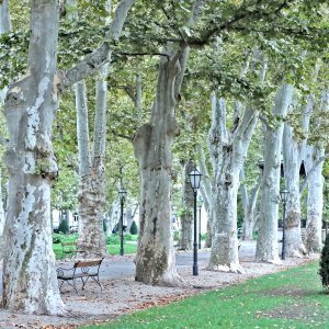 Jesenske boje u zagrebačkom parku Zrinjevac