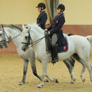 Ergela Đakovo obilježila 513. godišnjicu osnutka i 213 godina uzgoja lipicanaca