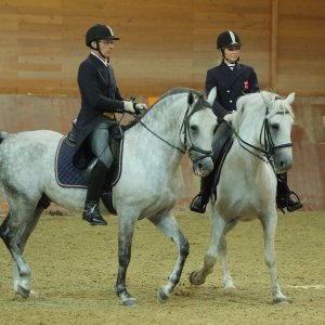 Ergela Đakovo obilježila 513. godišnjicu osnutka i 213 godina uzgoja lipicanaca