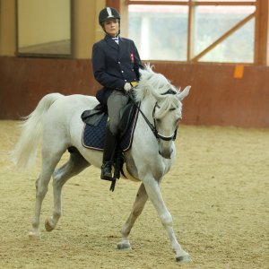 Ergela Đakovo obilježila 513. godišnjicu osnutka i 213 godina uzgoja lipicanaca