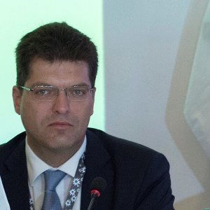 Janez Lenarčič, Slovenija: Povjerenik za upravljanje krizama