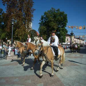 Predsjednica dodijelila Povelju Republike Hrvatske manifestaciji Vinkovačke jeseni