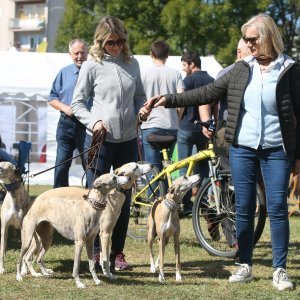 Karlovac: Lana Klingor Mihić na međunarodnoj izložbi pasa 4 Rivers Winner