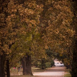 Prvi dan jeseni: osječki parkovi