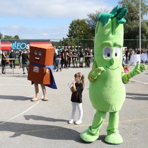 Terry Fox Run