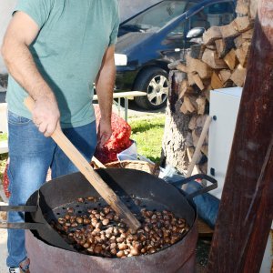 Tradicionalna 22. Kestenijada u Hrvatskoj Kostajnici