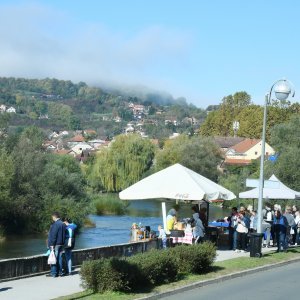 Tradicionalna 22. Kestenijada u Hrvatskoj Kostajnici