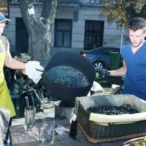 Tradicionalna 22. Kestenijada u Hrvatskoj Kostajnici