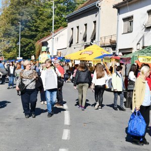 Tradicionalna 22. Kestenijada u Hrvatskoj Kostajnici