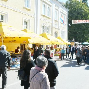 Tradicionalna 22. Kestenijada u Hrvatskoj Kostajnici