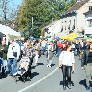 Tradicionalna 22. Kestenijada u Hrvatskoj Kostajnici