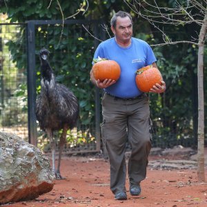 Zagreb: Bundevijada u Zoološkom vrtu