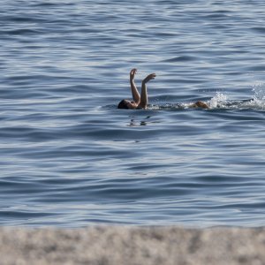 Kupači i šetači u studenom na splitskom Žnjanu