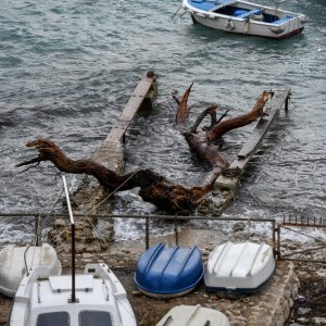 Smeće doplovilo u Dubrovnik