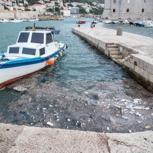 Smeće doplovilo u Dubrovnik