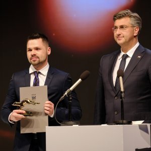 Alan Sumina, Andrej Plenković