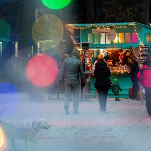 Zagreb: Advent u parku Maksimir