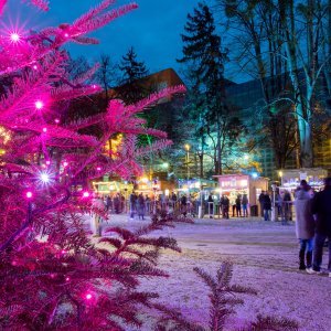 Zagreb: Advent u parku Maksimir